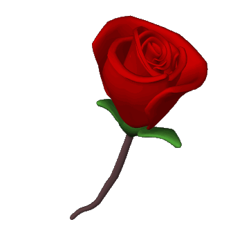 et   oui  ah  l'amour